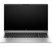 Ноутбук HP ProBook 450 G10 (9G1R1ET)