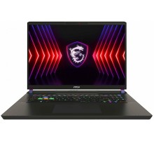 Ноутбук MSI Vector 17 HX A14VIG-899RU (9S7-17S162-899)