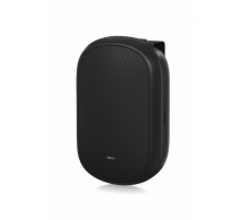 Акустическая система Tannoy DVS 401