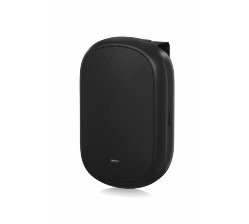 Акустическая система Tannoy DVS 401