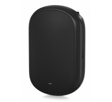 Акустическая система Tannoy DVS 801