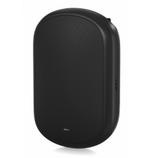 Акустическая система Tannoy DVS 801