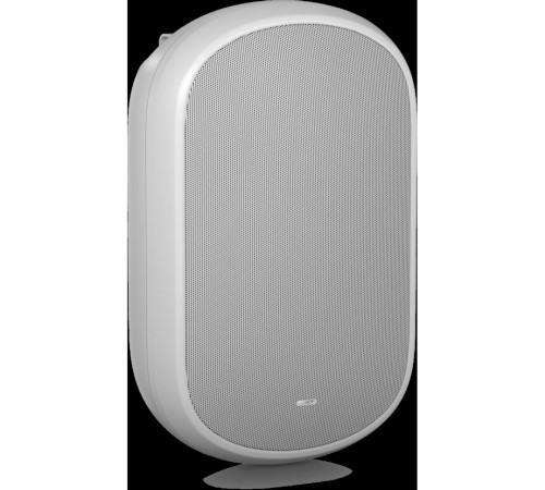 Акустическая система Tannoy DVS 801-WH