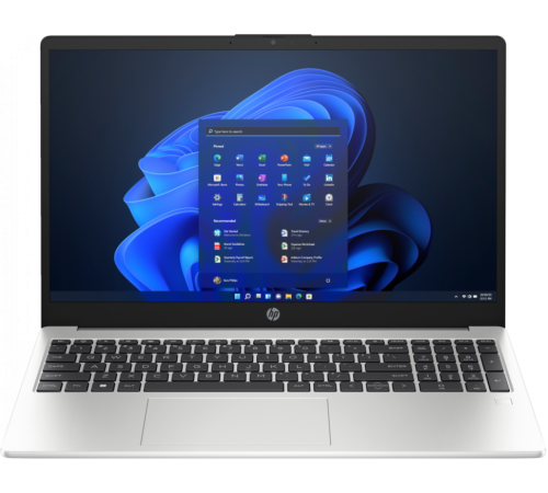 Ноутбук HP 250 G10 (AL0B9AT)