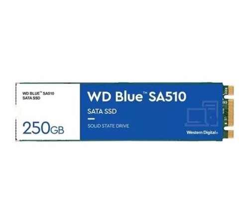 Жёсткий диск Western Digital WDS250G3B0B