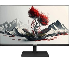 Монитор RDW Computers 2401K/F08B3100V2A1A