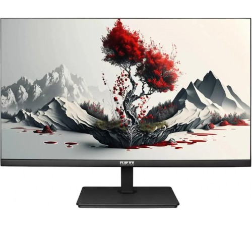 Монитор RDW Computers 2401K/F08B3100V2A1A