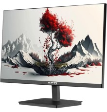 Монитор RDW Computers RDW2401K (2401K/F00B3100V2A1H)