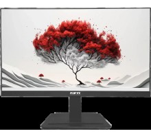 Монитор RDW Computers RDW2401K/F08В3100V2A1