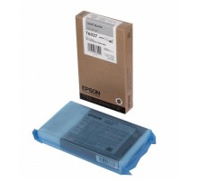 Картридж Epson C13T603700