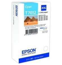 Картридж Epson C13T70124010