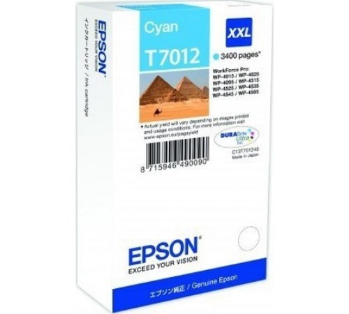 Картридж Epson C13T70124010