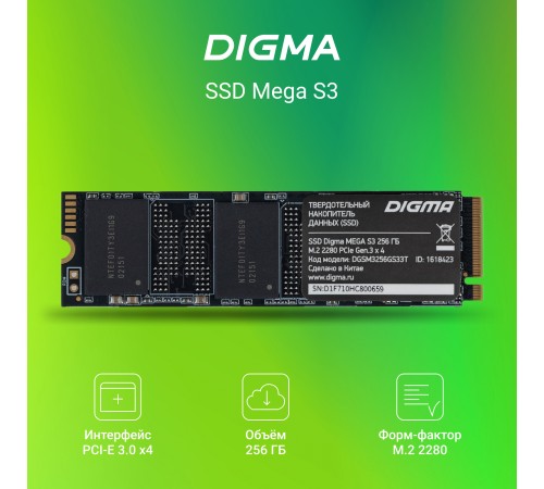 Накопитель SSD Digma PCIe 3.0 x4 256GB DGSM3256GS33T
