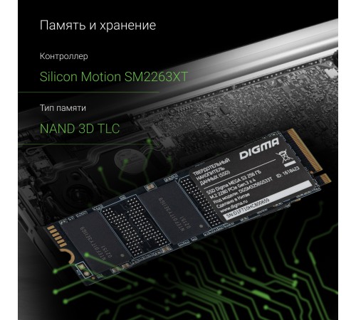 Накопитель SSD Digma PCIe 3.0 x4 256GB DGSM3256GS33T