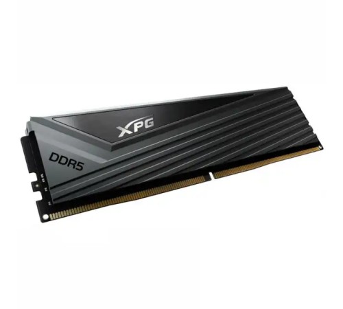 Оперативная память Adata AX5U6400C3216G-DCCAGY