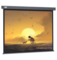 Экран Cactus CS-PSW-124X221-SG
