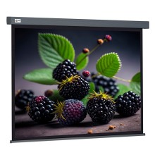 Экран Cactus CS-PSW-127X127-SG