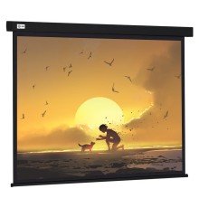 Экран Cactus CS-PSW-150X150-BK