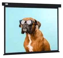 Экран Cactus CS-PSW-183X244-BK