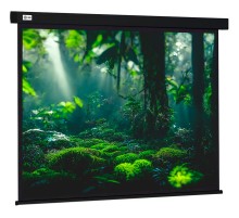 Экран Cactus CS-PSW-213X213-BK