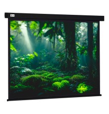 Экран Cactus CS-PSW-213X213-BK