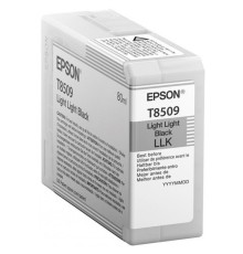 Картридж Epson C13T850200
