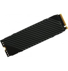 Накопитель SSD Digma PCIe 4.0 x4 512GB DGST4512GG33T