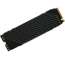 Накопитель SSD Digma PCIe 4.0 x4 2TB DGST4002TG33T