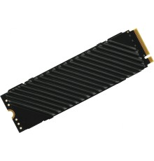 Накопитель SSD Digma PCIe 4.0 x4 2TB DGST4002TG33T