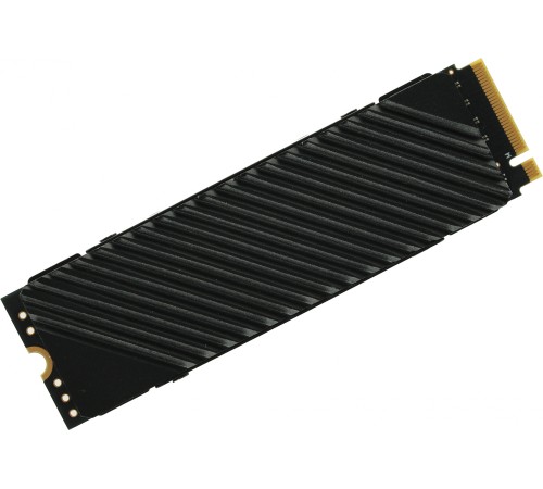 Накопитель SSD Digma PCIe 4.0 x4 2TB DGST4002TG33T