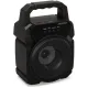 Колонка портативная Digma D-PS1500 SP1500B