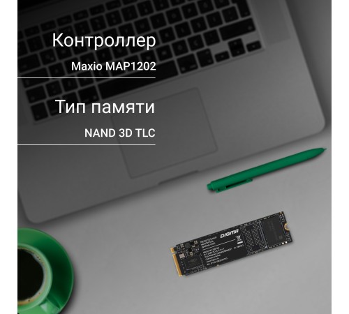 Накопитель SSD Digma PCIe 3.0 x4 256GB DGSM3256GM23T