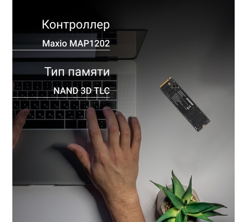 Накопитель SSD Digma PCIe 3.0 x4 2TB DGSM3002TM23T
