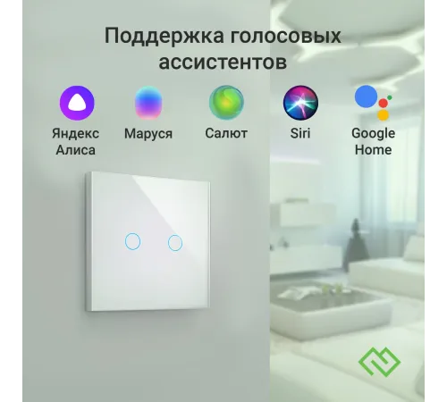 Умный выключатель Digma DiSwitch 2p DSW2P