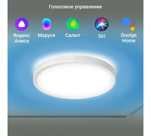 Умный светильник Digma TopLight TL40