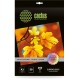 Фотобумага Cactus CS-HGA326050