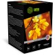 Фотобумага Cactus CS-HGA6260500