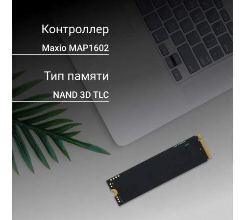 Накопитель SSD Digma PCIe 4.0 x4 512GB DGSM4512GM63T