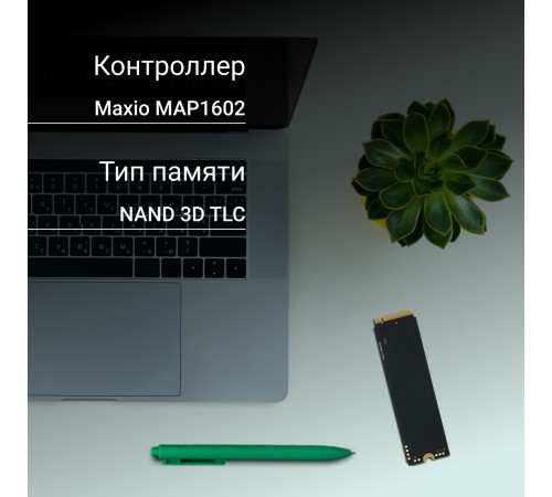 Накопитель SSD Digma PCIe 4.0 x4 1TB DGSM4001TM63T