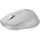 Мышь Acer OMR310 ZL.MCECC.033