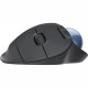 Мышь Logitech Ergo M575 910-005872