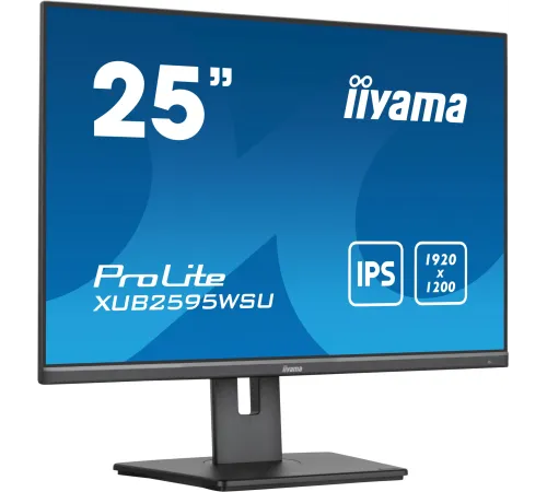 Монитор Iiyama 25 ProLite XUB2595WSU-B5