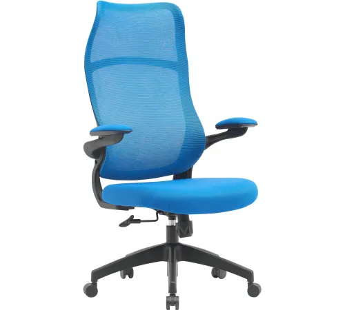 Кресло Cactus CS-MC505-BL