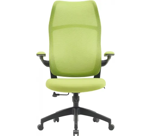 Кресло Cactus CS-MC505-GN