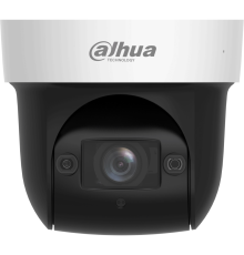 IP камера Dahua DH-SD29404DB-GNY-W