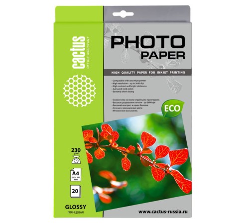 Фотобумага Cactus CS-GA423020E