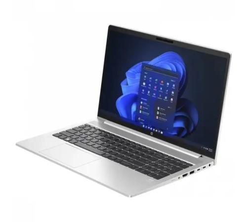 Ноутбук HP ProBook 450 G10 816N8EA