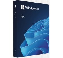 ПО Microsoft Windows 11 Professional FPP USB (HAV-00180) (id 26605)