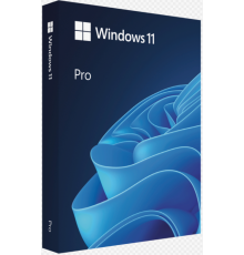 ПО Microsoft Windows 11 Professional FPP USB (HAV-00180) (id 26605)
