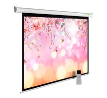 Экран Cactus CS-PSME-220X220-WT